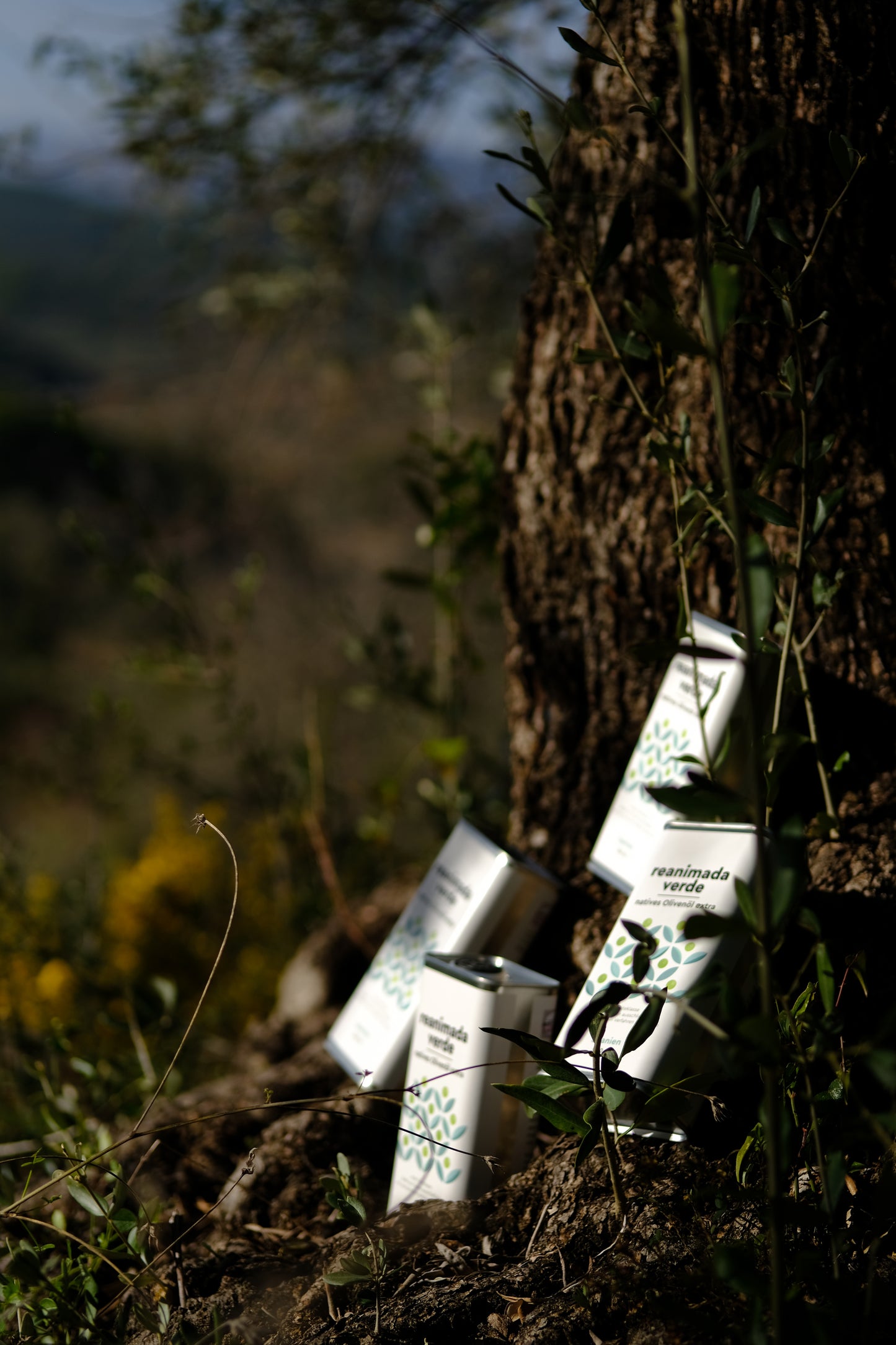 "reanimada verde" 0,5l Olivenöl Nativ Extra: Unser Superfood-Öl