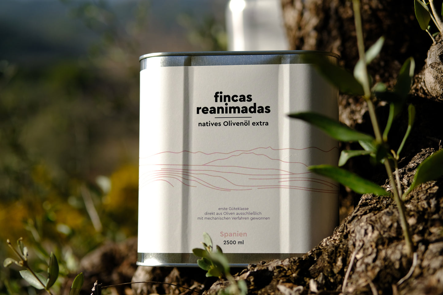 'fincas reanimadas' 2,5 l Olivenöl nativ extra