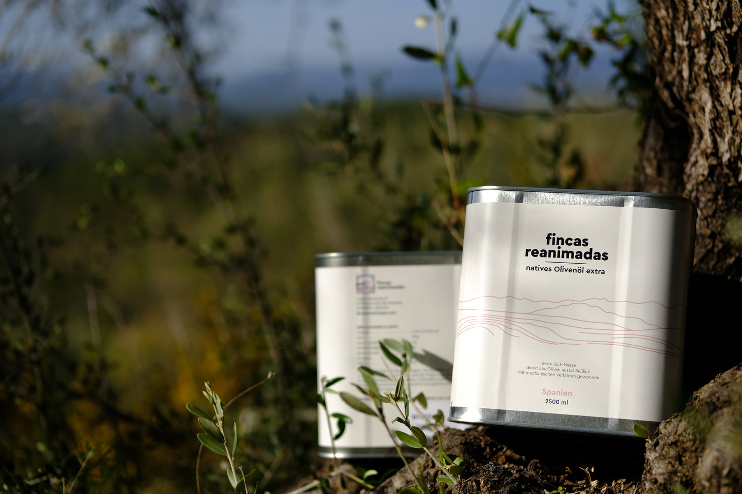 'fincas reanimadas' 2,5 l Olivenöl nativ extra
